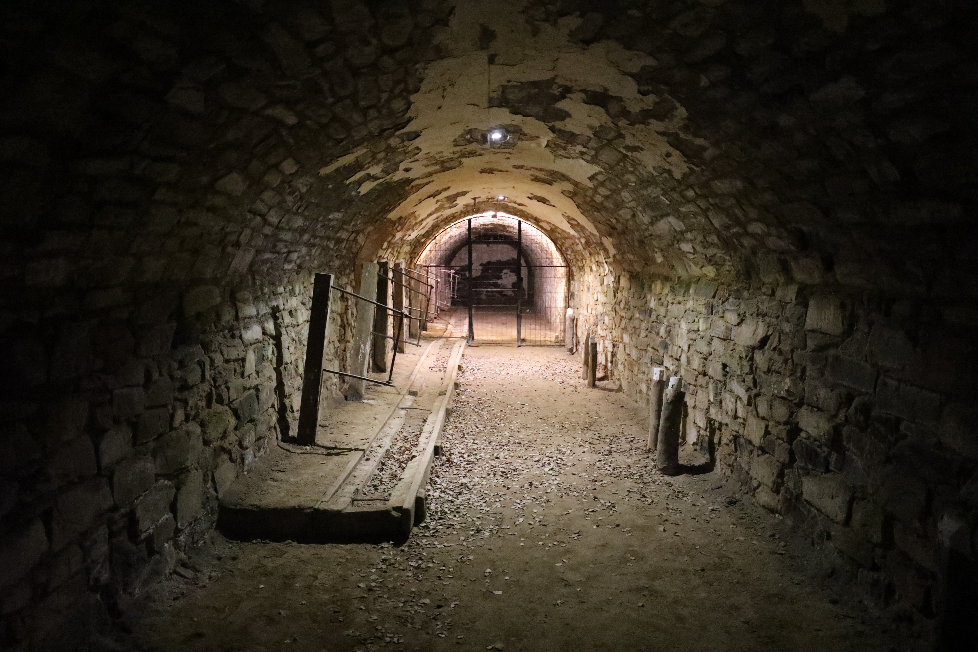 2019 08 31 10 02 19 Canon EOS 5D Mark IV 0034